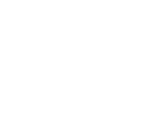 Logo Duck Blanc